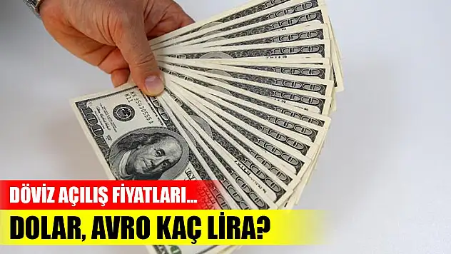 Serbest piyasada döviz açılış fiyatları... Dolar, avro kaç lira?