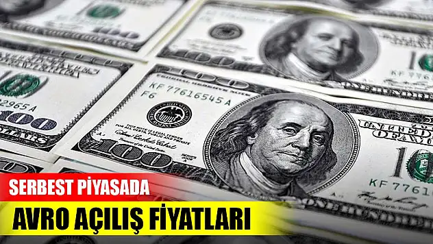 Serbest piyasada dolar, avro kaç lira?