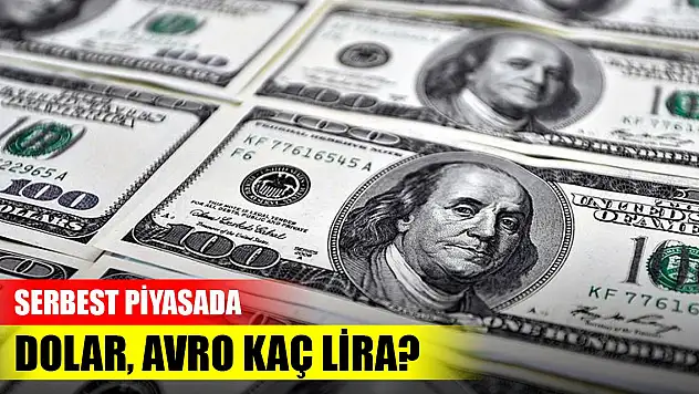 Serbest piyasada dolar, avro kaç lira?