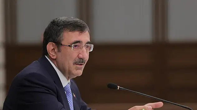 Cumhurbaşkanı Yardımcısı'ndan depreme ilişkin açıklama