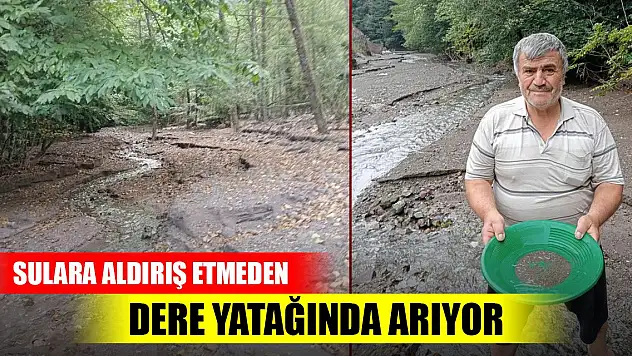 Sulara aldırış etmeden dere yatağında arıyorlar