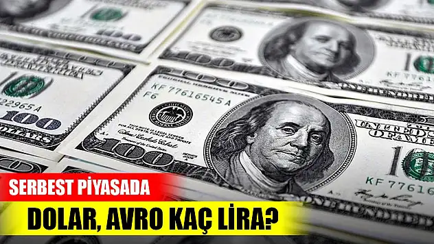Serbest piyasada dolar, avro kaç lira?