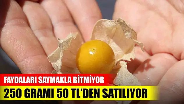 Gören şaşırıyor, faydaları saymakla bitmiyor! 250 gramı 50 TL