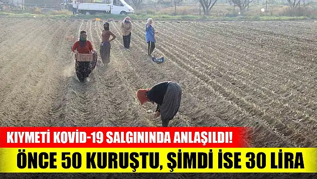 Kıymeti Kovid-19 salgınında anlaşıldı! Önce 50 kuruştu, şimdi 30 liradan satılacak