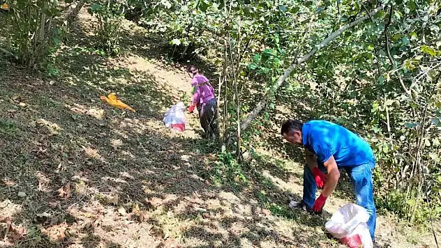 Fındık üreticilerinin sıcakla imtihanı