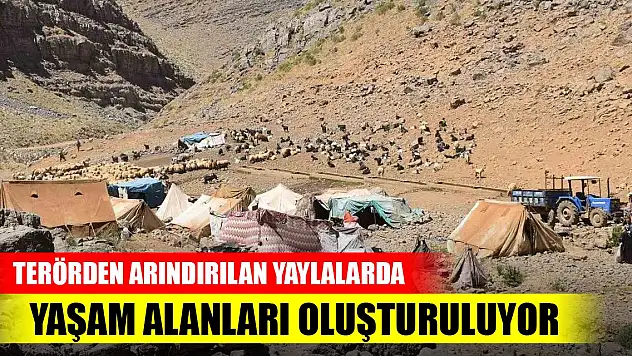 Terörden arındırılan yaylalarda yaşam alanları oluşturuluyor