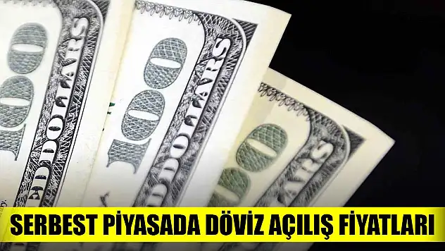 Serbest piyasada döviz açılış fiyatları