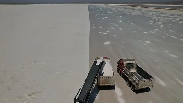 Kavurucu sıcakta hasat başladı! Yemeklerin olmazsa olmazı tuzun hikayesi