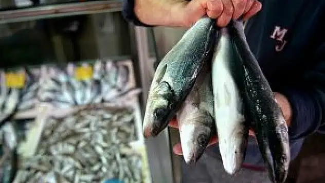 AB'den Türk levrek ve çipurasına vergi tehdidi