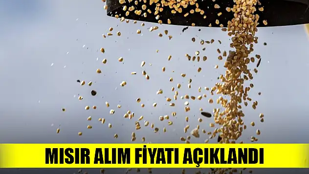 Mısır alım fiyatı açıklandı