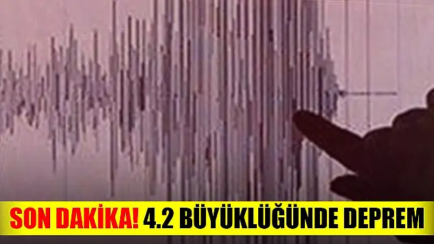 Son Dakika! Bingöl'ün Kiğı ilçesinde 4.2 büyüklüğünde deprem