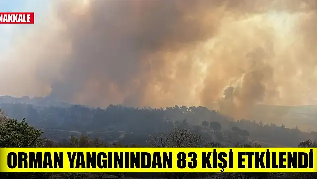 Son Dakika! Çanakkale'deki orman yangınından 83 kişi etkilendi