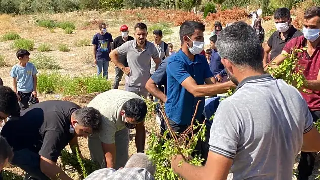 7 gündür aranıyordu açlık ve susuzluktan ölmüş