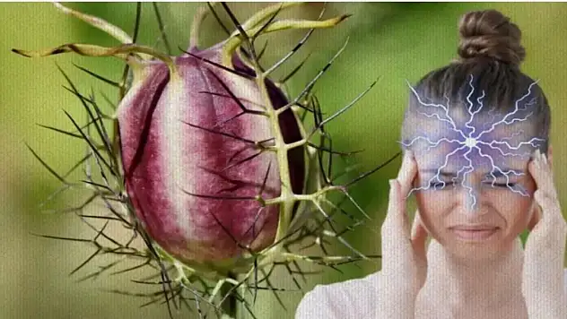 Baş ağrısından kesin kurtaran karışım! Eskiler hep bunu yaparmış