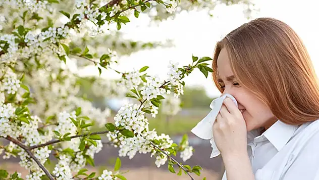Yaz aylarında burun akıntısı ve baş ağrısı mı çekiyorsunuz?