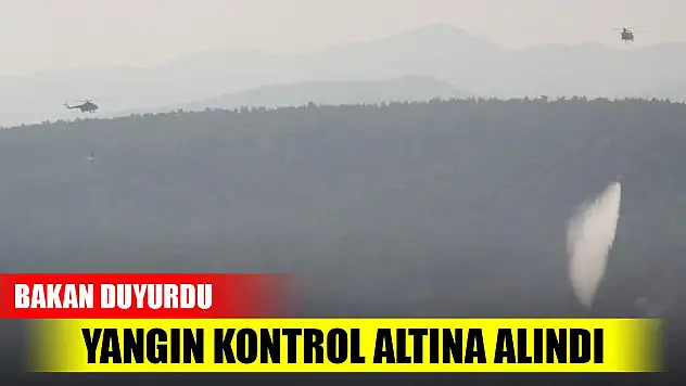 Son Dakika! Çanakkale'deki yangın kontrol altına alındı