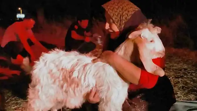 Konya'da derin kuyuya düşen keçiyi itfaiye kurtardı