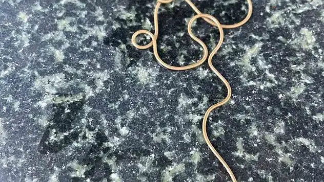 Köy çeşmesindeki canlının ne olduğu ortaya çıktı