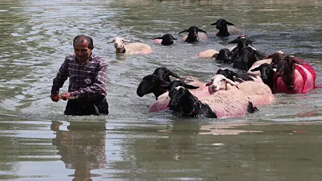 Sekiz asırlık gelenek: Türkiye'nin birçok yerinden gelenler oldu renkli görüntüler ortaya çıktı