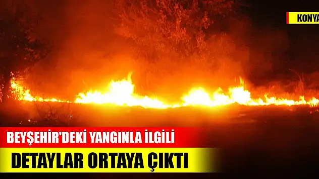 Beyşehir'deki yangınla ilgili detaylar ortaya çıktı