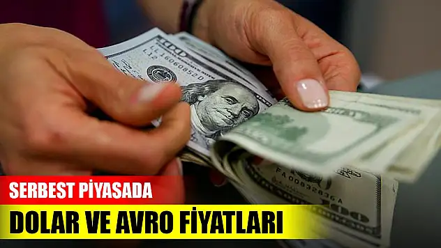 Serbest piyasada dolar ve avro fiyatları (31 Ağustos 2023)
