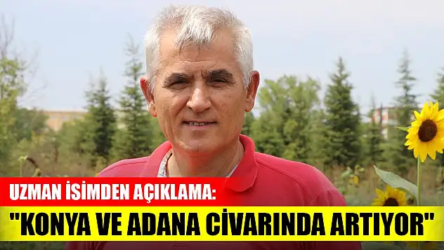 Uzman isimden kurak bölgelerde ekim açıklaması: 'Konya ve Adana civarında artıyor'