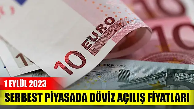 Serbest piyasada döviz açılış fiyatları (1 Eylül 2023)