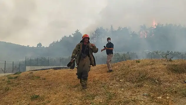 Bir orman yangını daha!