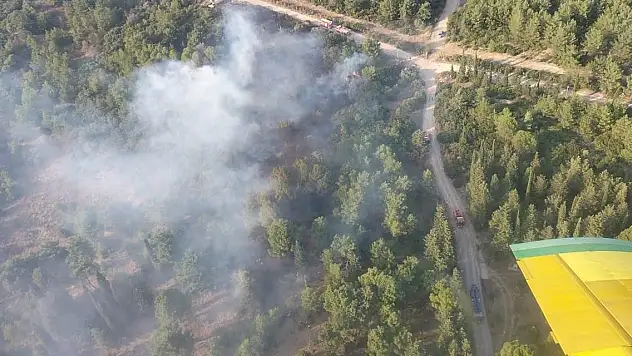 İzmir'deki orman yangını kontrol altında