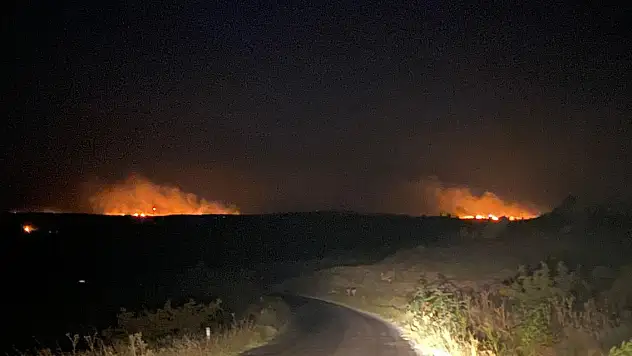 Bulgaristan'ın Türkiye sınırında orman yangını