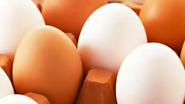Yumurta fiyatları