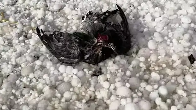 Ceviz büyüklüğünde dolu yağdı!