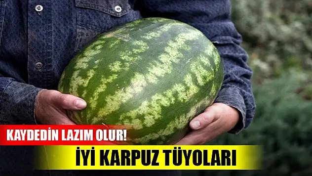 İyi karpuz tüyoları! Kaydedin lazım olur