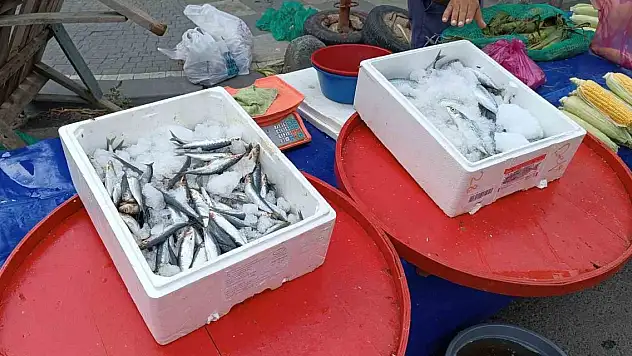 Av sezonu başladı, fiyatlar geriledi