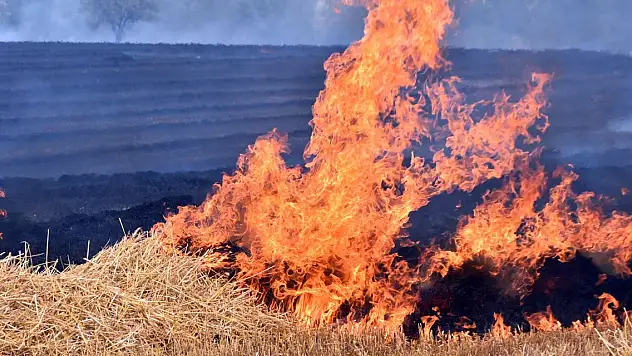 Trakya'da yangınlarda binlerce dekar tarım alanı zarar gördü!