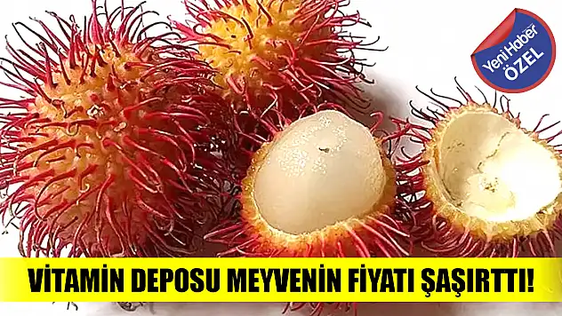 Vitamin deposu meyvenin fiyatı şaşırttı!