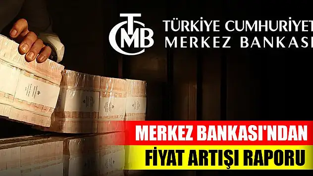 Merkez Bankası'ndan fiyat artışı raporu