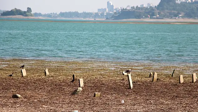 Gölün suyu çekildi, mezarlık ortaya çıktı