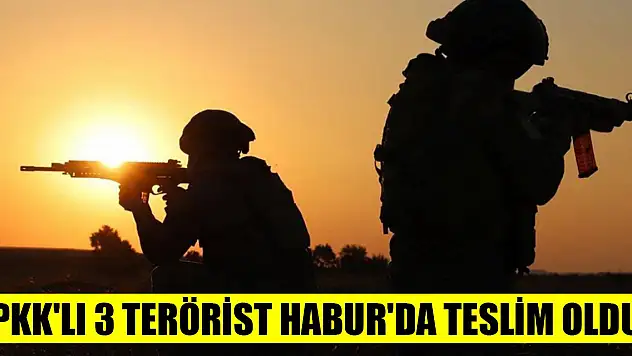 Irak'ın kuzeyindeki barınma alanlarından kaçan PKK'lı 3 terörist Habur'da teslim oldu
