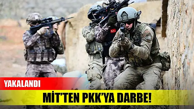 MİT'ten PKK'ya darbe! Yakalandı