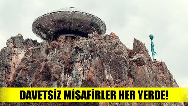Davetsiz misafirler dünyanın her yerinde!