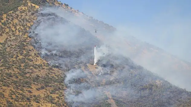 Kahramanmaraş'ta çıkan orman yangını kontrol altına alındı