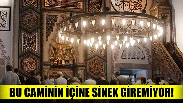 Bu caminin içine sinek giremiyor