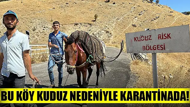 Bu köy kuduz nedeniyle karantinaya alındı