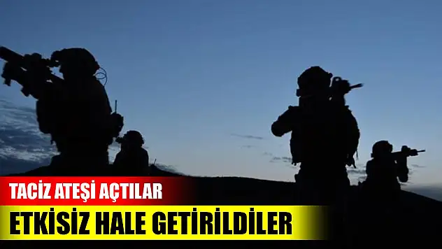 Son Dakika! Taciz ateşi açan 7 PKK'lı terörist etkisiz hale getirildi