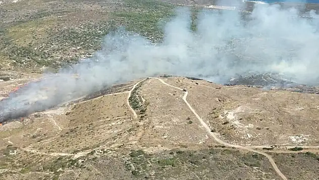 Çöplükte çıkan yangın ormana sıçradı