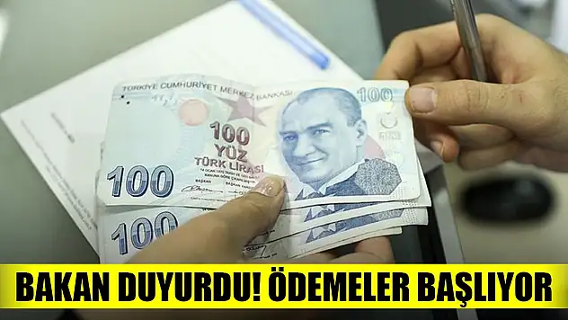 Türkiye Aile Destek Programı ödemeleri başlıyor