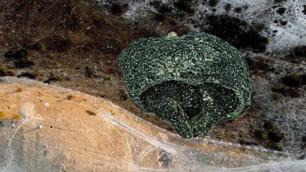 Heyecanlandıran keşif! 3500 yıllık üzüm çekirdeği kalıntısı bulundu