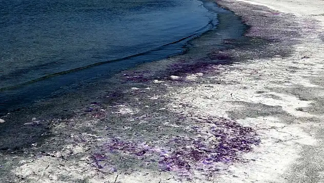 Göl sahili morardı