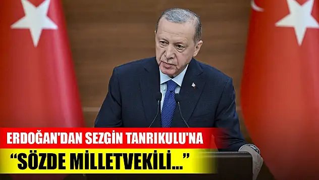 Cumhurbaşkanı Erdoğan'dan Sezgin Tanrıkulu'na tepki! Sözde milletvekili...